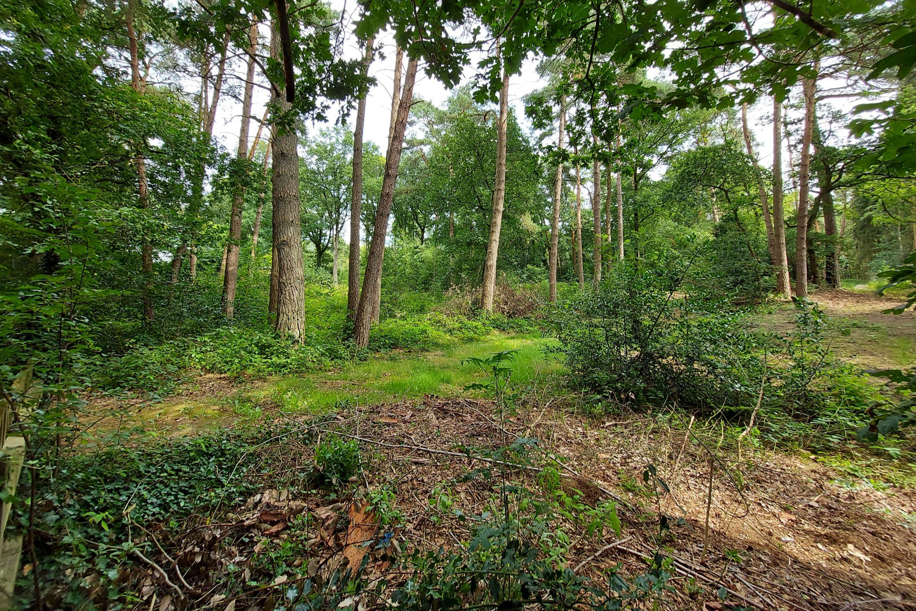 Baugrundstück in ruhiger Nachbarschaft und allerschönster Lage nahe Worpswede