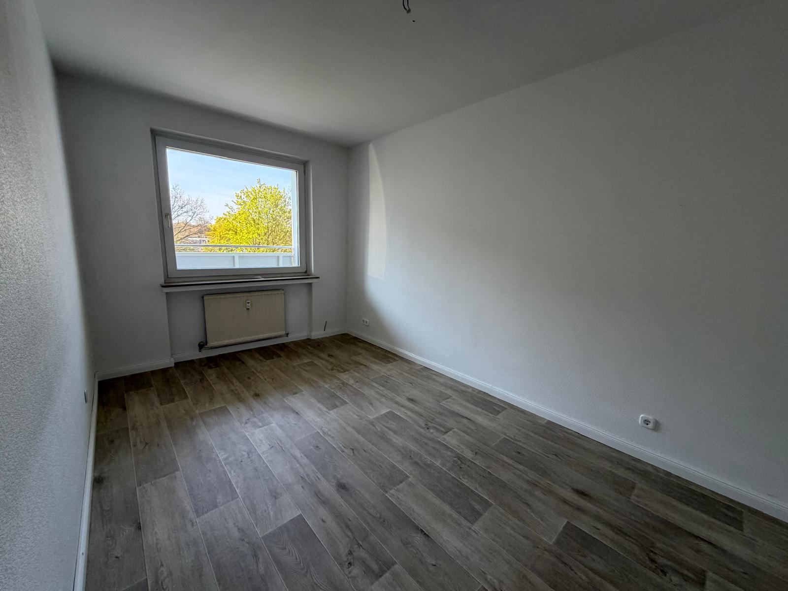 Bild #8