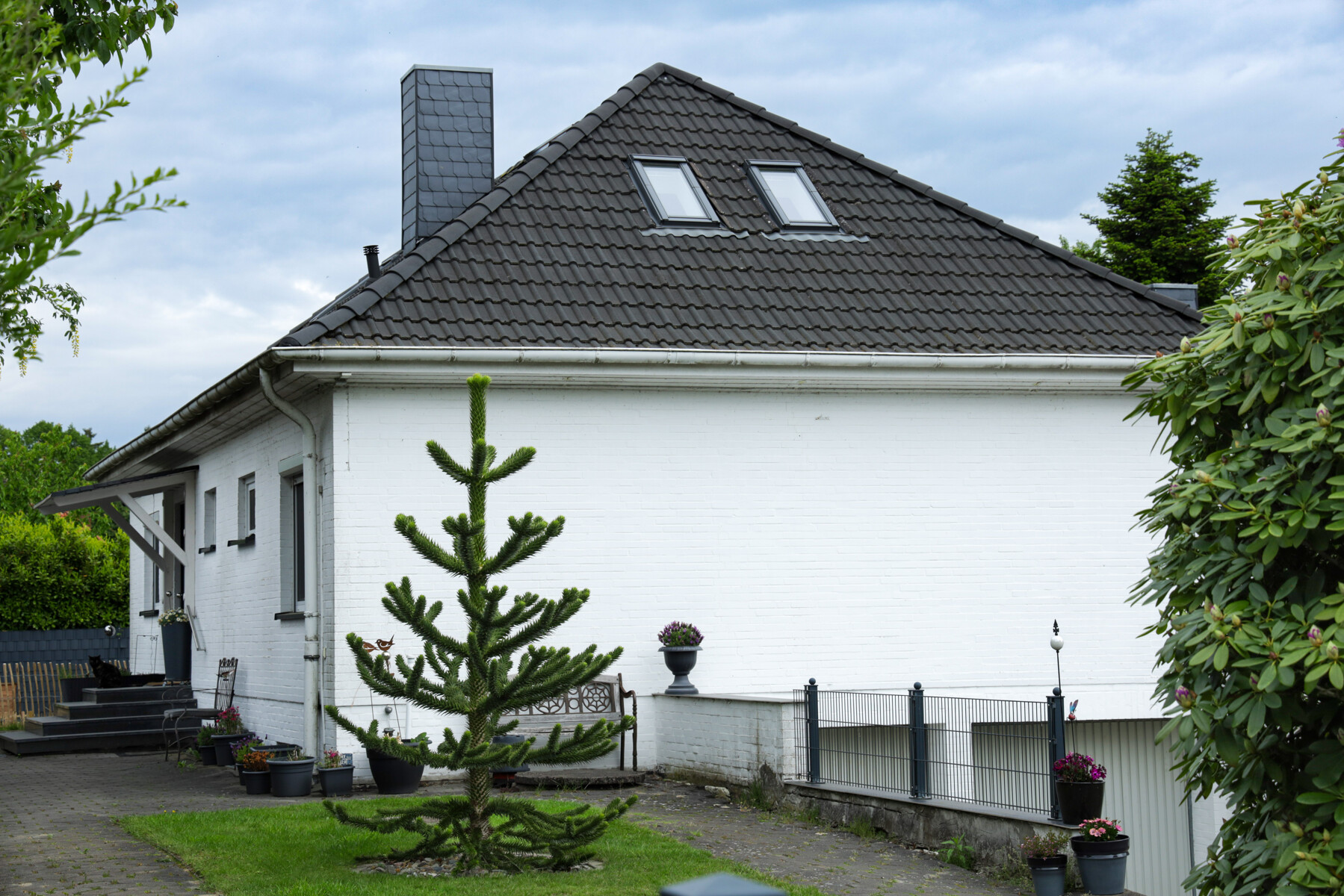 Bild #2