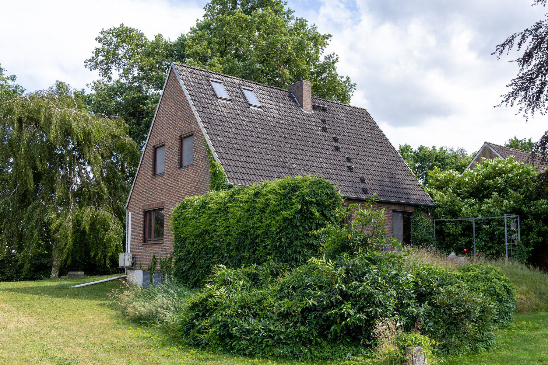 Bild #4
