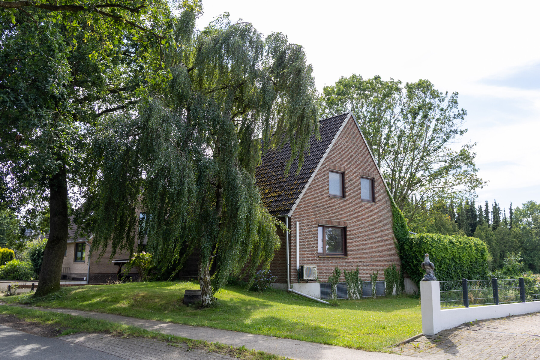 Bild #3