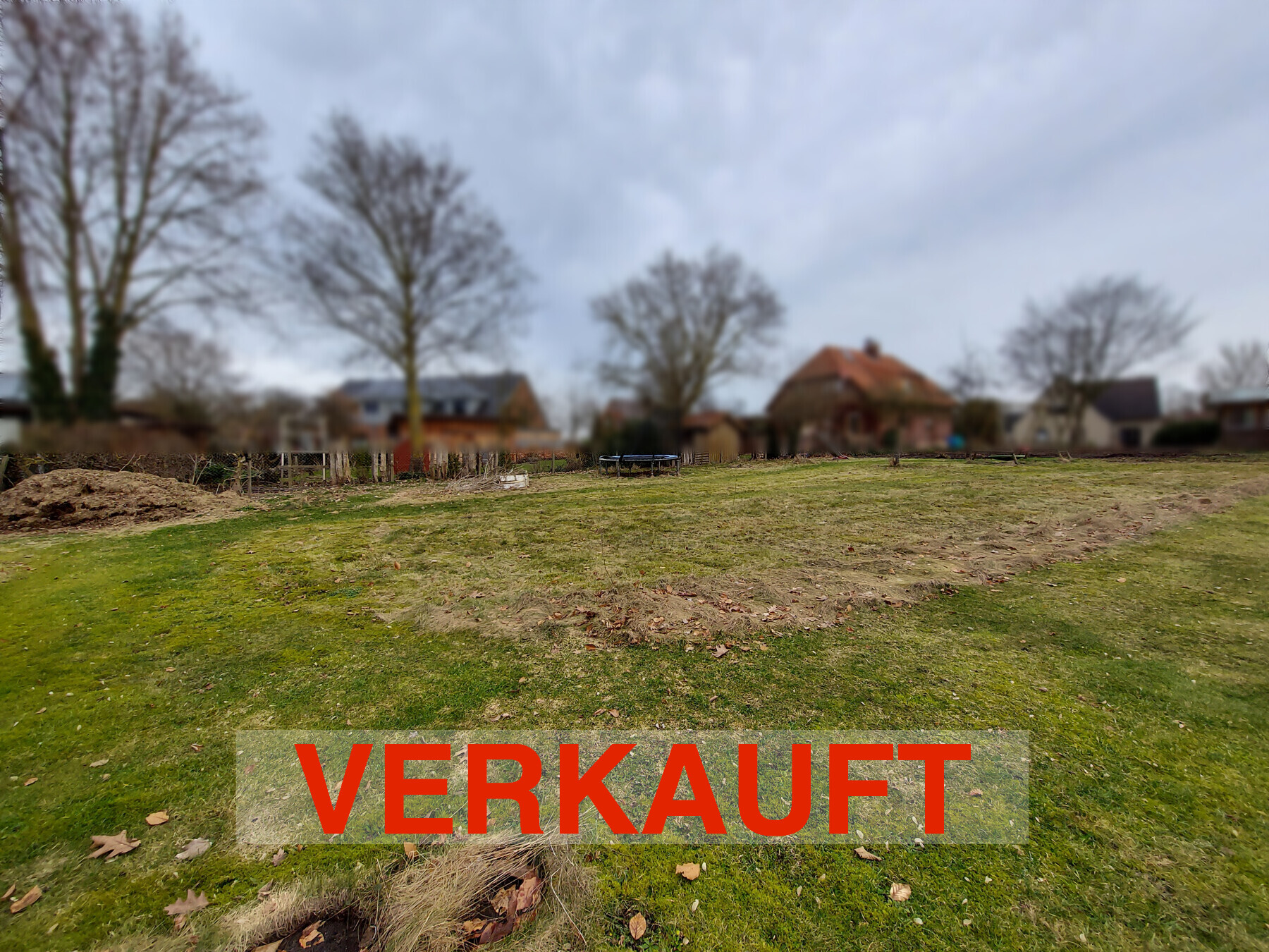 Bild #11