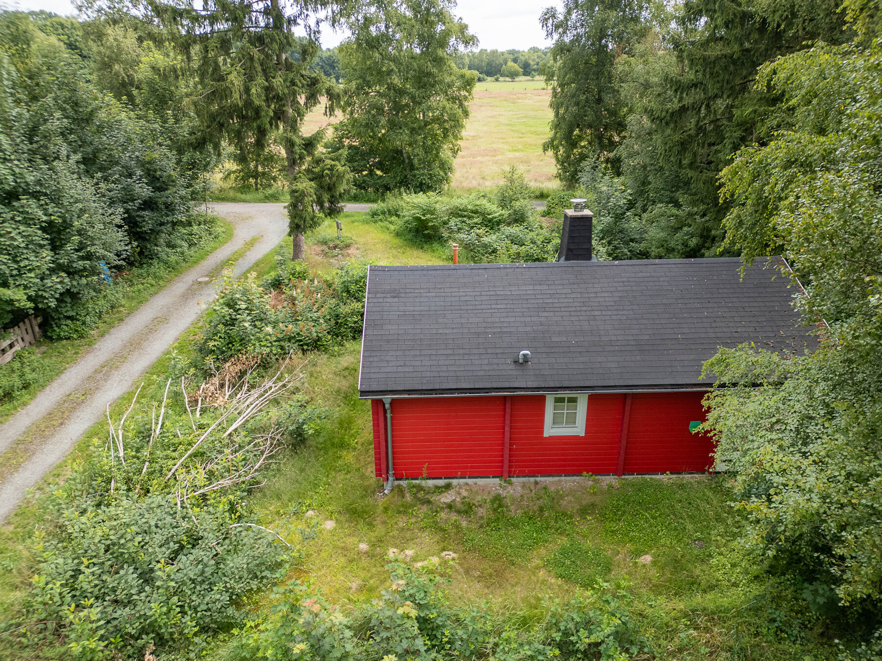 Bild #5